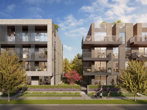 Ashleigh Oakridge presale